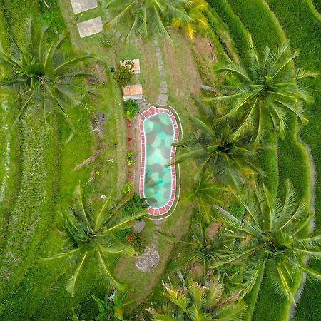 Pesona Bali Ecolodge By Agata جاتيلويه المظهر الخارجي الصورة