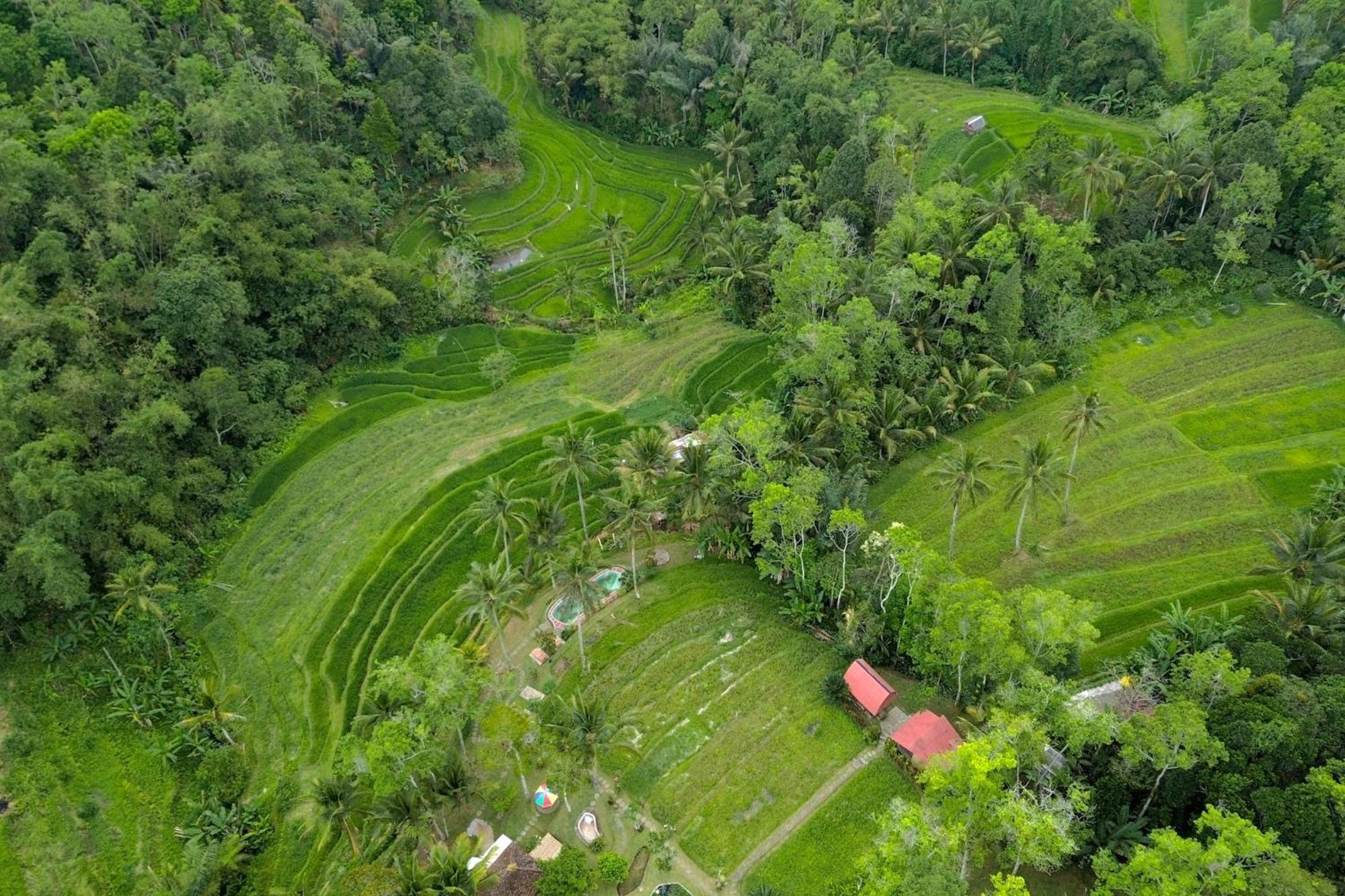 Pesona Bali Ecolodge By Agata جاتيلويه المظهر الخارجي الصورة