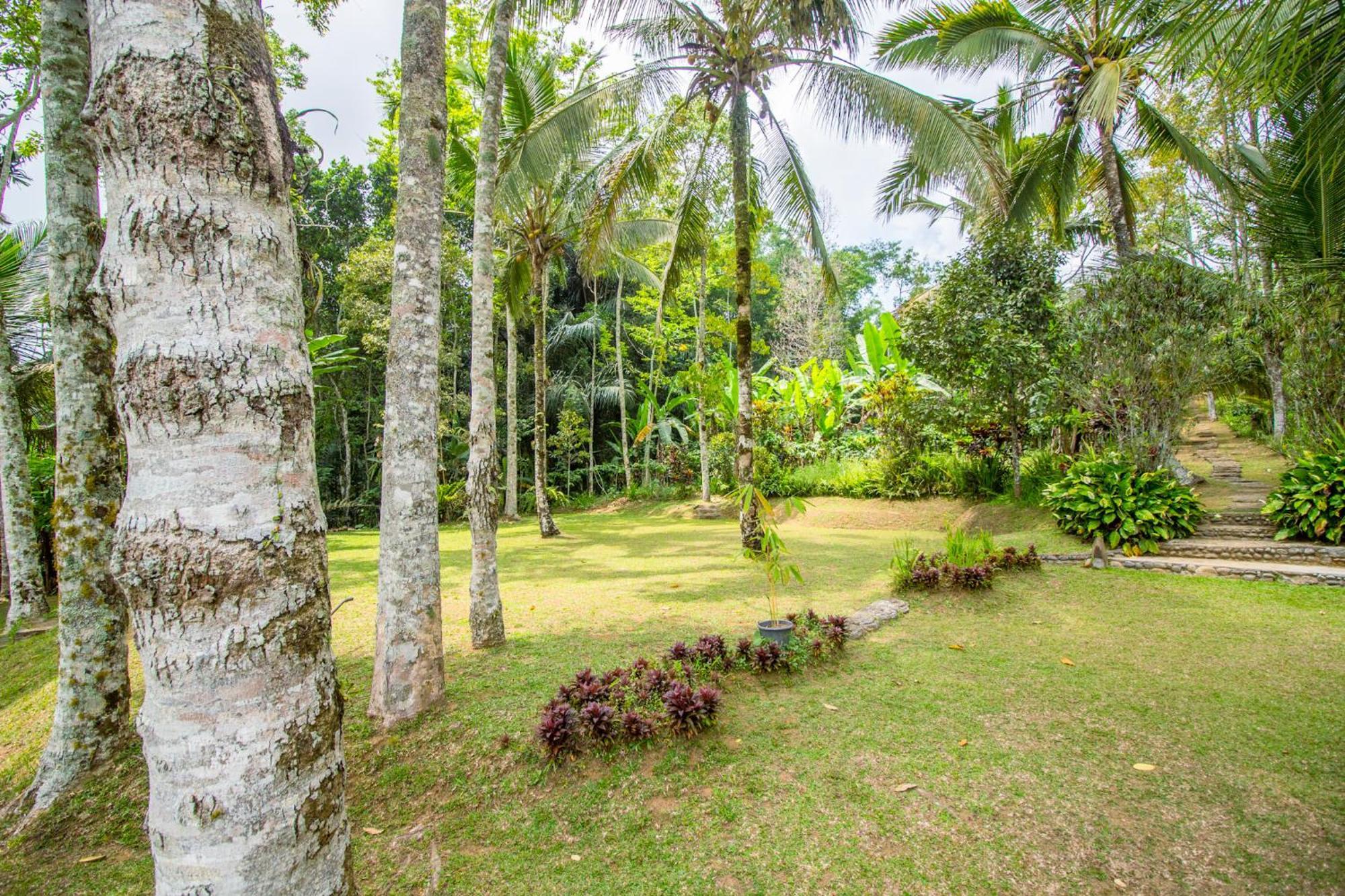 Pesona Bali Ecolodge By Agata جاتيلويه المظهر الخارجي الصورة