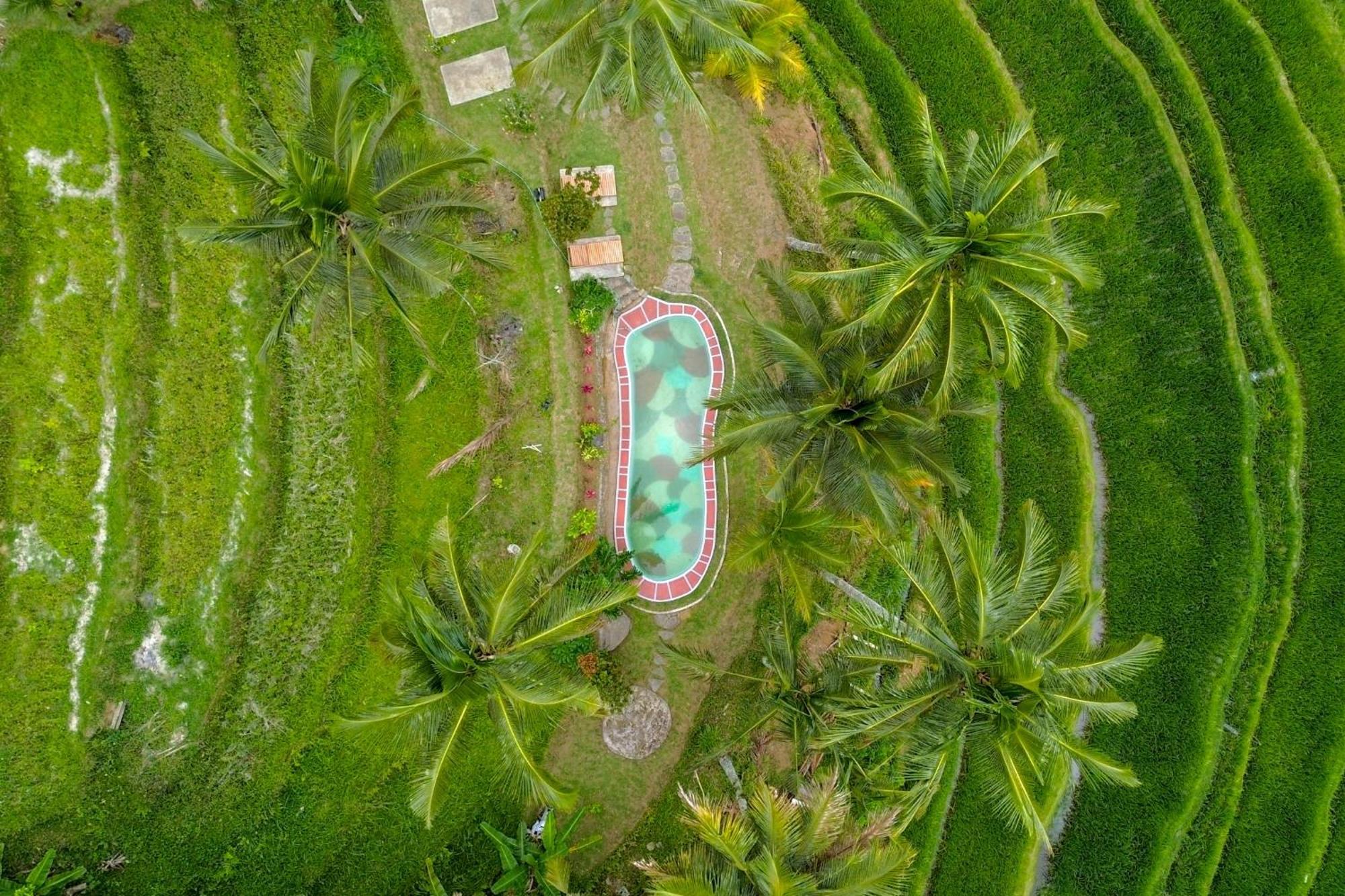 Pesona Bali Ecolodge By Agata جاتيلويه المظهر الخارجي الصورة